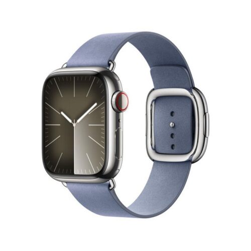 Apple Modern Buckle Band